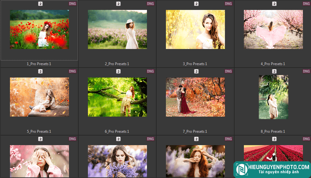 12 Preset Pro cực xịn xò cho CameraRaw và Lightroom (XMP, DNG, LR)
