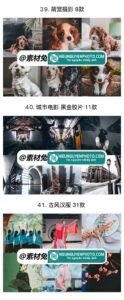 Ảnh minh hoạ cho 37 bộ preset Nhật Bản nhiều tone màu như chân dung, trong trẻo, film, đường phố... cho CameraRaw và Lightroom (XMP, Lr)
