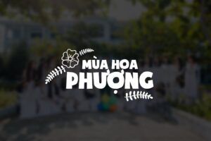 Ảnh minh hoạ cho Chia sẻ Typography Kỷ Yếu phần 1 (PSD, PNG)