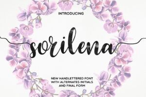 Ảnh minh hoạ cho Chia sẻ 94 Font chữ cực xịn xò