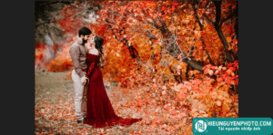 Ảnh minh hoạ cho 12 Preset Pro cực xịn xò cho CameraRaw và Lightroom (XMP, DNG, LR)