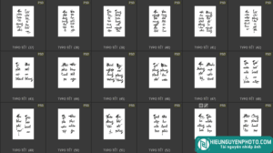 Ảnh minh hoạ cho 90 Typo tết thư pháp xịn xò (PSD)